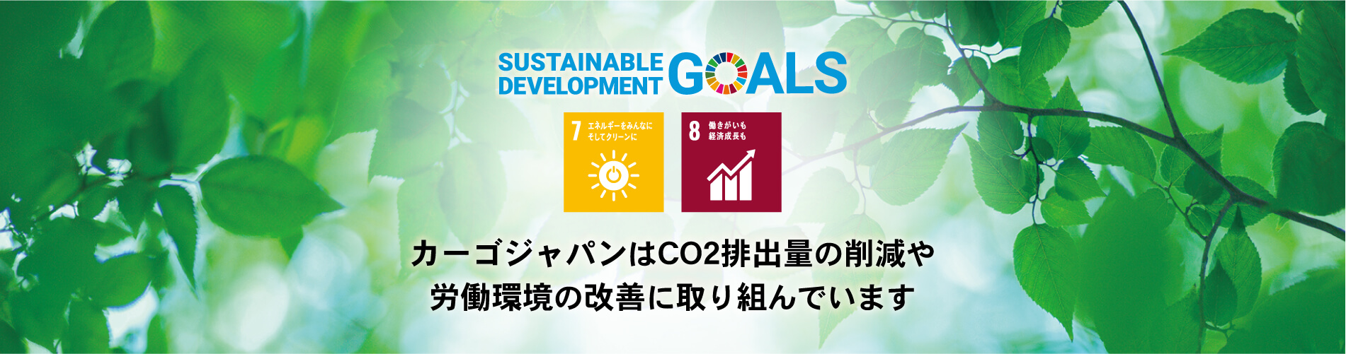 カーゴジャパンはCO2排出量の削減や 労働環境の改善に取り組んでいます
